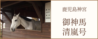 御神馬(清嵐号)